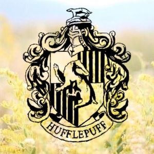 Meet your Posher, Savannah